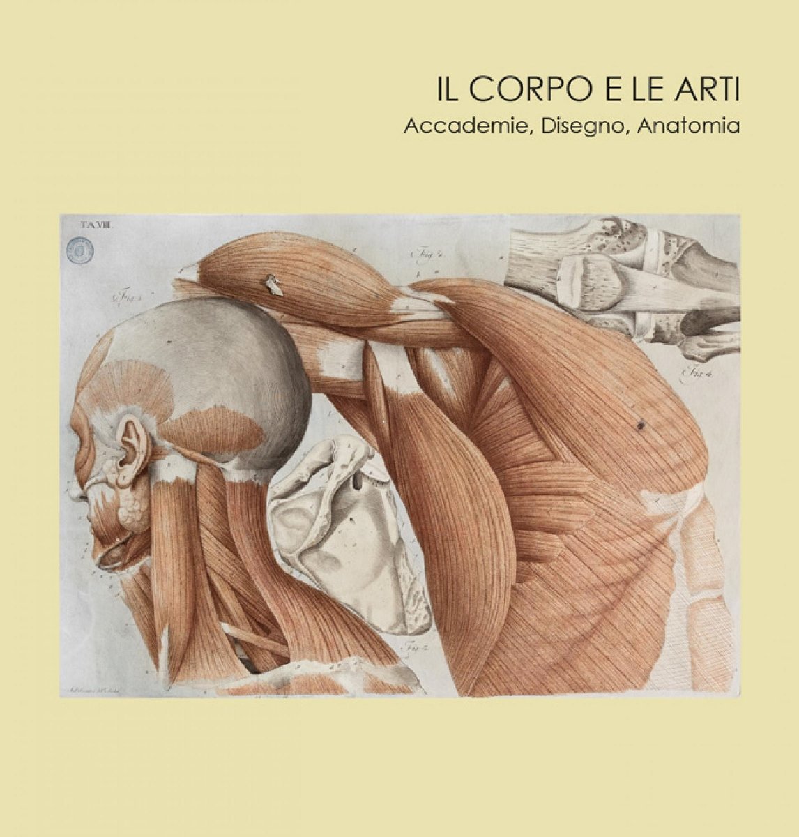 Il corpo e le arti. Accademie Disegno Anatomia